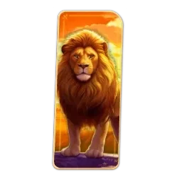Lion
Safari